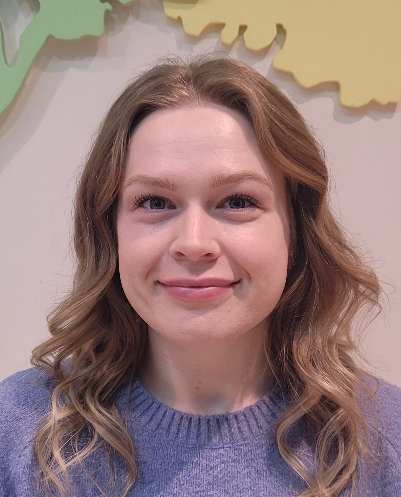 �������̹���